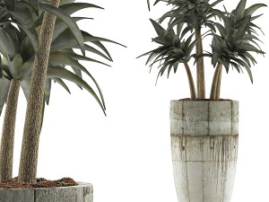 collezione di piante 94 Modello 3D