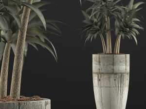 plants collection 94 3D Model