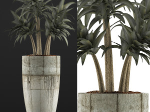 plants collection 94 3D Model