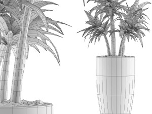 plants collection 94 3D Model