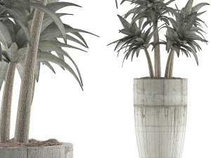 plants collection 94 3D Model