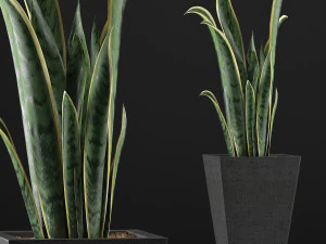 plants collection 95 3D Model