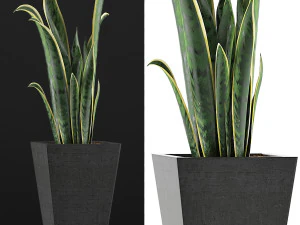 plants collection 95 3D Model
