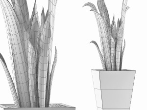 plants collection 95 3D Model
