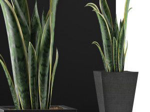 plants collection 95 3D Model