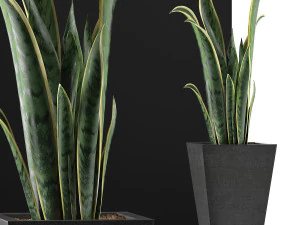 plants collection 95 3D Model