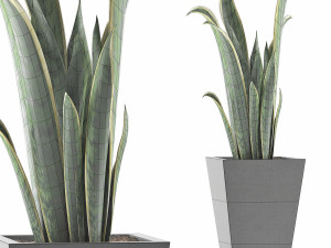 plants collection 95 3D Model