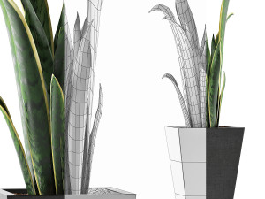 plants collection 95 3D Model