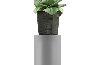 plants collection 96 3D 模型