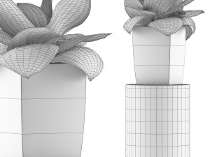 plants collection 96 3D 模型