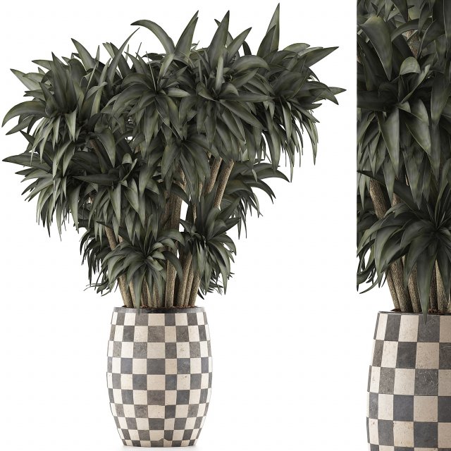 plants collection 97 Model 3D .c4d .max .obj .3ds .fbx .stl .blend 