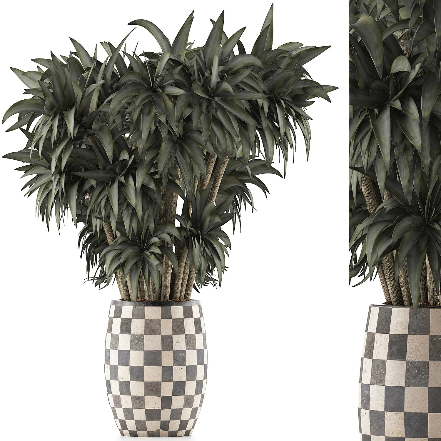 plants collection 97 3D Model .c4d .max .obj .3ds .fbx .stl .blend 