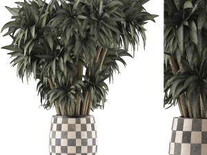 plants collection 97 3D मॉडल
