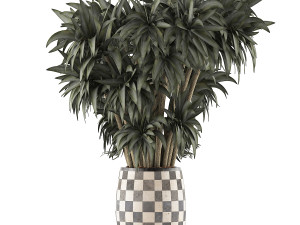 plants collection 97 Model 3D