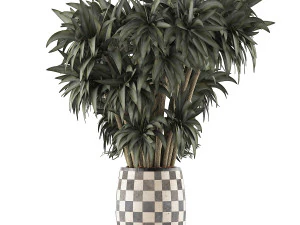 plants collection 97 3D Model