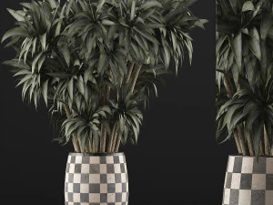 plants collection 97 3D Model