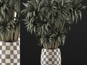 plants collection 97 Model 3D