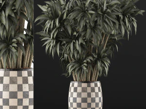 plants collection 97 3D Model