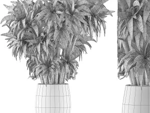 plants collection 97 3D Model