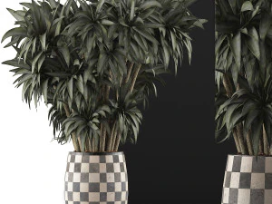 plants collection 97 3D Model