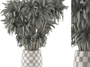 plants collection 97 Model 3D