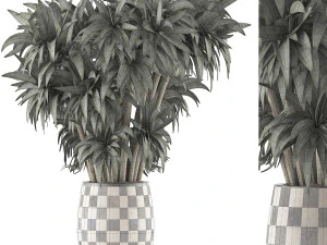 plants collection 97 3D Model