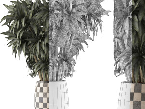 plants collection 97 Model 3D