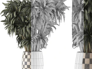 plants collection 97 3D Model