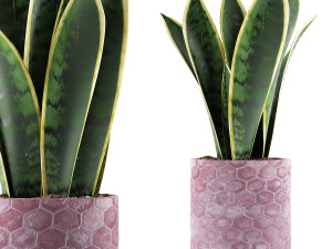 plants collection 98 3D 模型