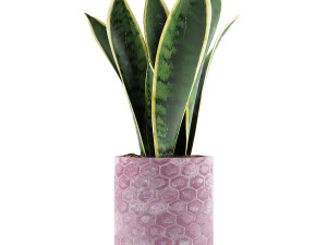 plants collection 98 Modelo 3D