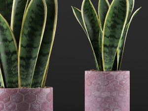 plants collection 98 Modelo 3D