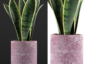 plants collection 98 Modelo 3D