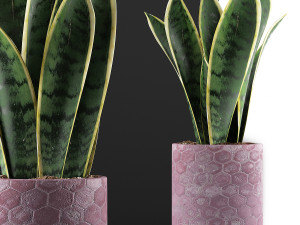 plants collection 98 Modelo 3D