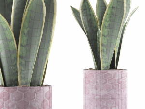 plants collection 98 Modelo 3D