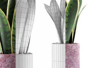 plants collection 98 Modelo 3D