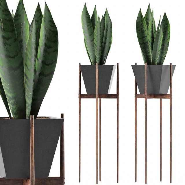 plants collection 99 3D Model .c4d .max .obj .3ds .fbx .stl .blend 