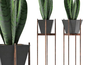 collezione di piante 99 Modello 3D