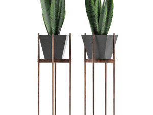 plants collection 99 3D Model