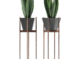 коллекция растений 99 3D Модель