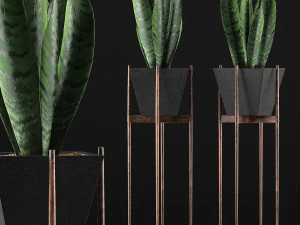 коллекция растений 99 3D Модель