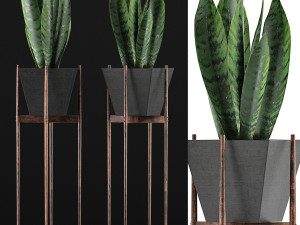 plants collection 99 3D Model