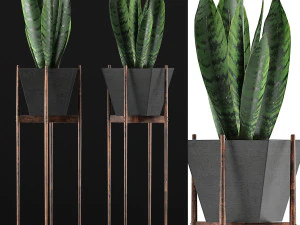 коллекция растений 99 3D Модель