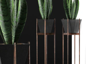 коллекция растений 99 3D Модель