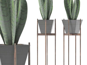 коллекция растений 99 3D Модель