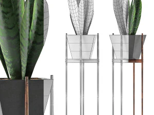 коллекция растений 99 3D Модель