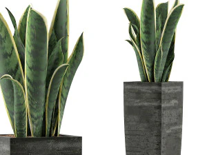 collezione piante 100 Modello 3D