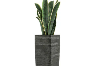 plants collection 100 3D Model