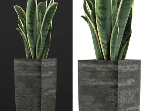 plants collection 100 3D Model