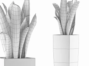 plants collection 100 3D Model