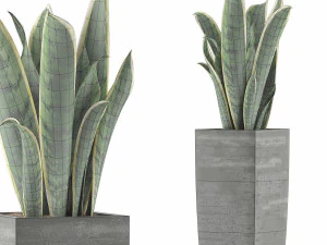 plants collection 100 3D Model